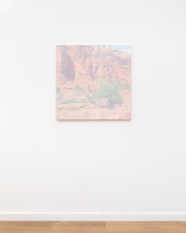 Martinepoppe Bjdeakin Photograpy 8418