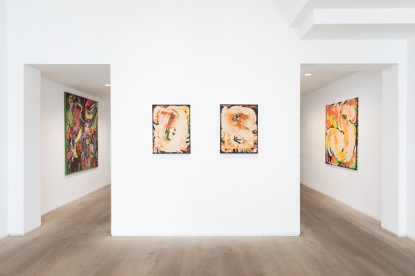 Melaniatoma Bjdeakinphotography 194