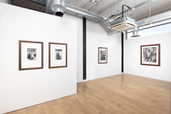 Sverremalling Bjdeakin Photograpy 5550 Edit