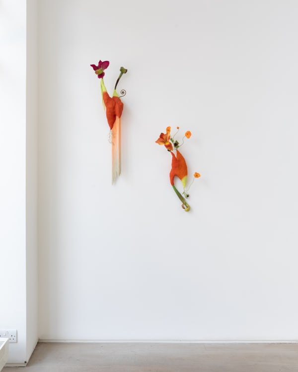 Midsummernightsdream Bjdeakin Photograpy 8192