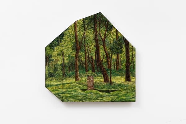 Amirhosseinbayani Bjdeakin Photograpy 0998