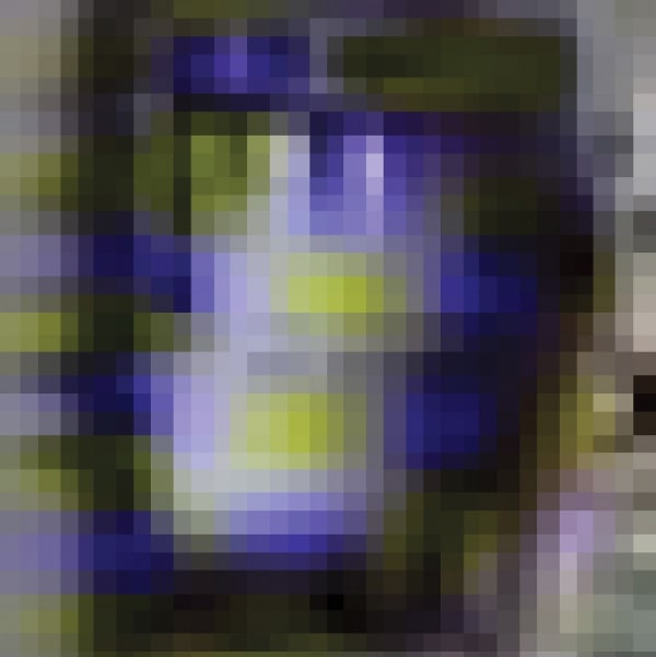 Sheree Hovsepian | Konrad Wyrebek The Whole Other