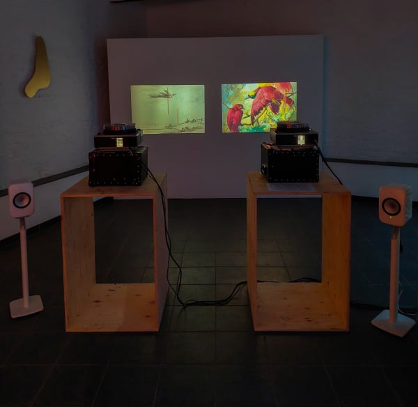 Sinta Tantra, Birds of Paradise