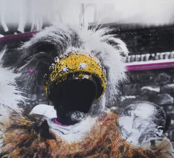 Your Gaze Makes Me Wendimagegn Belete