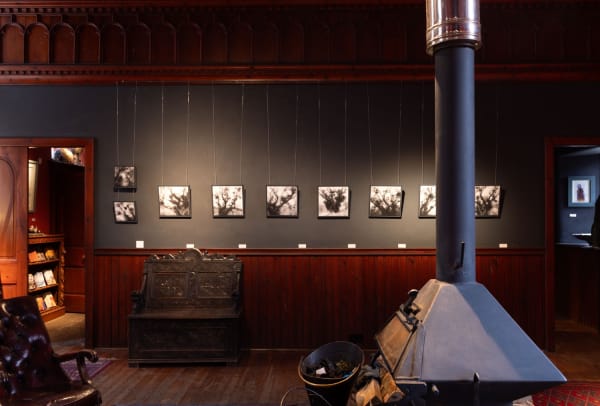 Gallery Tansy Lee Moir