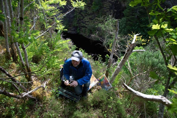 painting above a gorge, Allan MacDonald