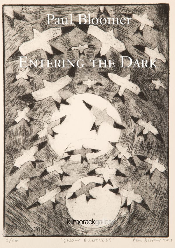 Entering the Dark | PAUL BLOOMER