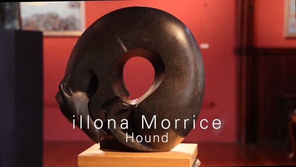 Hound | iLLONA MORRICE