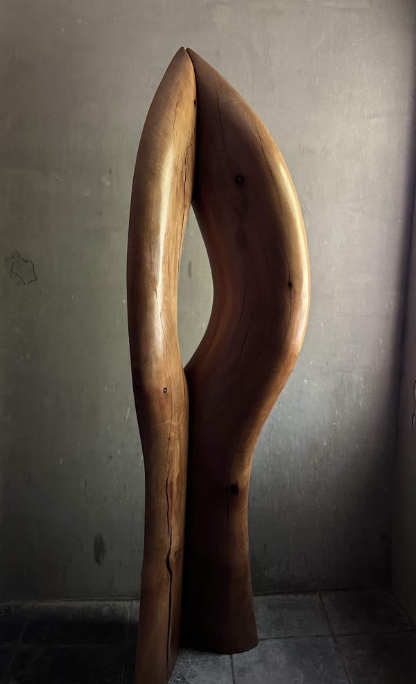 Sébastien Pochan - Kindred, 2025