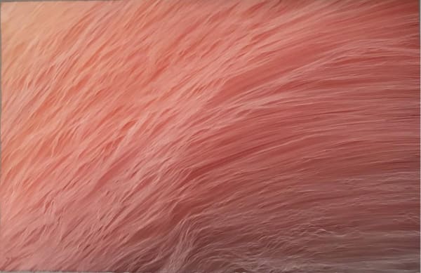 Juan Escudero Red Wave apaisado, 2021 Gravure sur papier 28 x 63 cm (11 x 24 in)