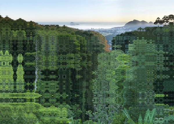 Didier Fournet Rio - Forêt de Tijuca, 2015 Photography, Diasec and aluminum frame 180 x 252 cm (70 x 99 in) Edition of 5