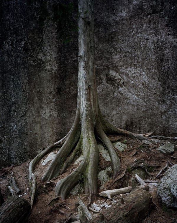 Mikael Lafontan British Columbia - Squamish 30, Canada, 2012 Tirage lambda contrecollé sur dibond 150 x 120 cm (59 x 47 in) Édition de 10 exemplaires + 3 EA