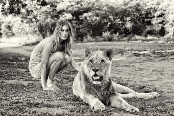 Cécile Plaisance: Wild Women Afrique du Sud