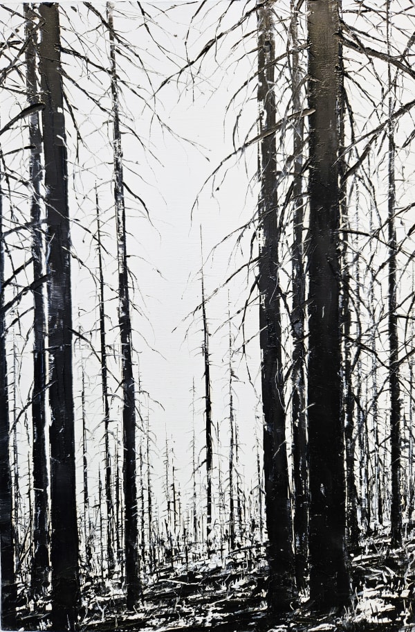 Todd Carpenter, Brightled