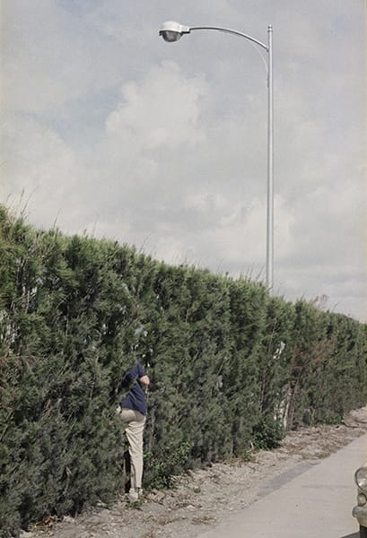 Vivian Maier, Man in bush