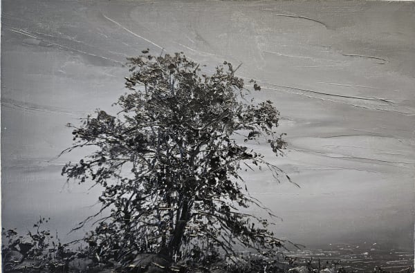 Todd Carpenter, Spectral