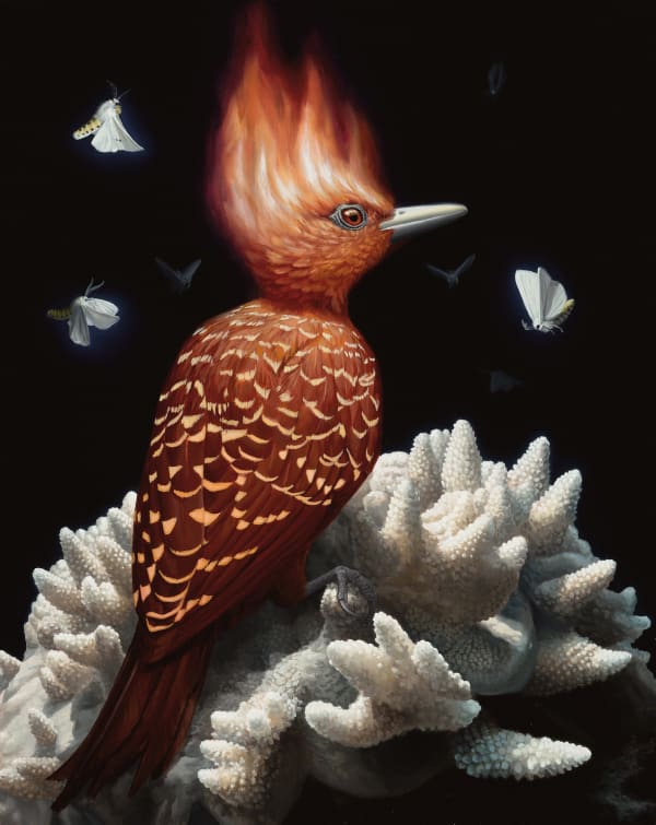 Jon Ching, Siren Call (click for details) SOLD, 2023