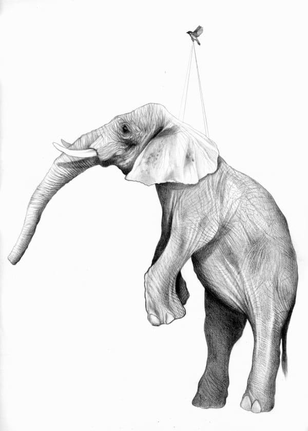 AXIS, The Balance of Opposites