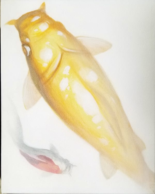 AXIS, Koi Study #2