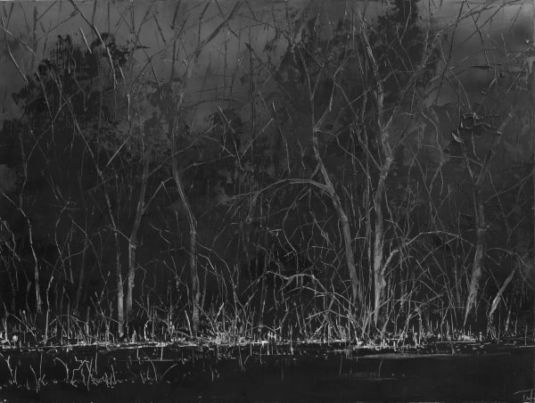 Todd Carpenter, Headlights Pass