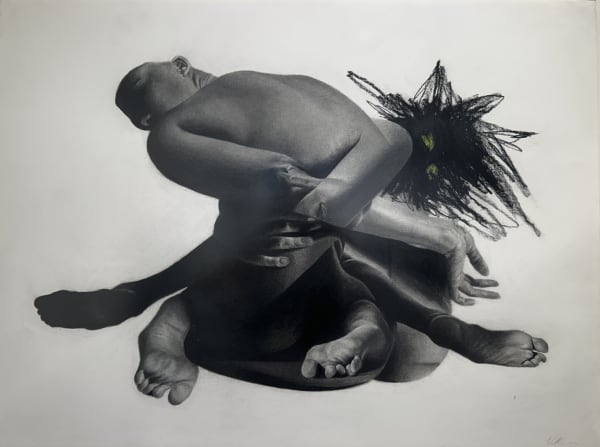 Victoria Cassinova, Shadow-Integration