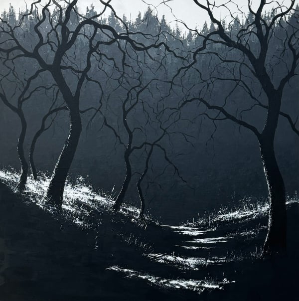 Todd Carpenter, Summer Shade