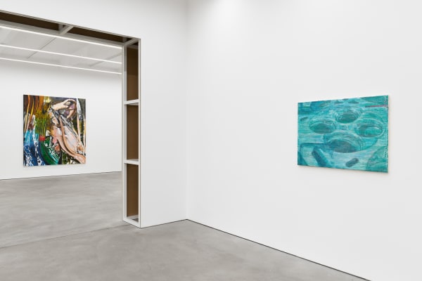 BRETT GINSBURG exhibition view, Of Orchids and Wasps, Kraupa-Tuskany Zeidler, Berlin, 2023