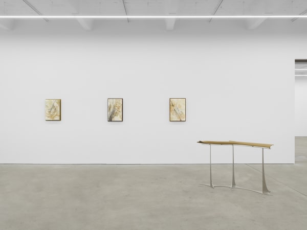 RIM PARK exhibition view, dwell in me, Kraupa-Tuskany Zeidler, Berlin, 2024