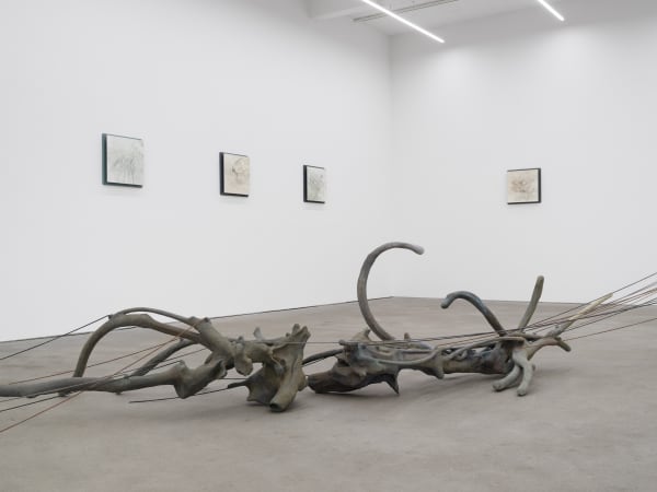 RIM PARK exhibition view, Radix, Kraupa-Tuskany Zeidler, Berlin, 2025