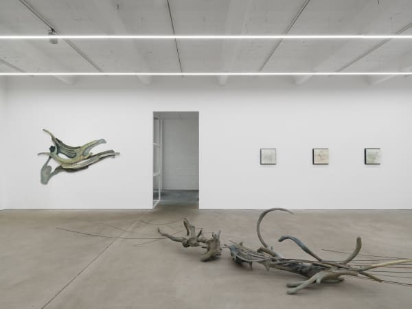 RIM PARK exhibition view, Radix, Kraupa-Tuskany Zeidler, Berlin, 2025