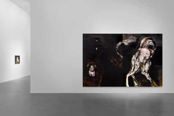 AMBERA WELLMANN exhibition view, Antipoem, Fondazione Sandretto Re Rebaudengo, Turin, 2023