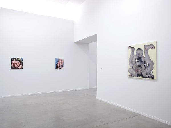 AMBERA WELLMANN exhibition view, UnTurning, MO.CO. Panacée, Montpellier, 2019