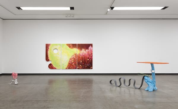 GUAN XIAO exhibition view, Teenager, Kunsthalle Wien, 2025