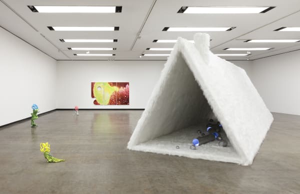 GUAN XIAO exhibition view, Teenager, Kunsthalle Wien, 2025