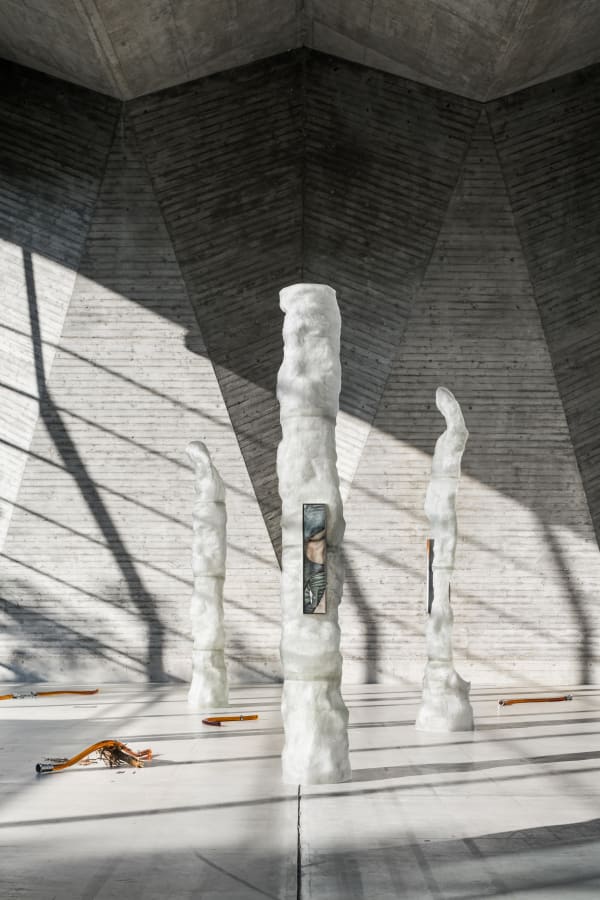 KLÁRA HOSNEDLOVÁ installation view, Sakura Silk Moth, Art Basel Parcours, Basel, 2021