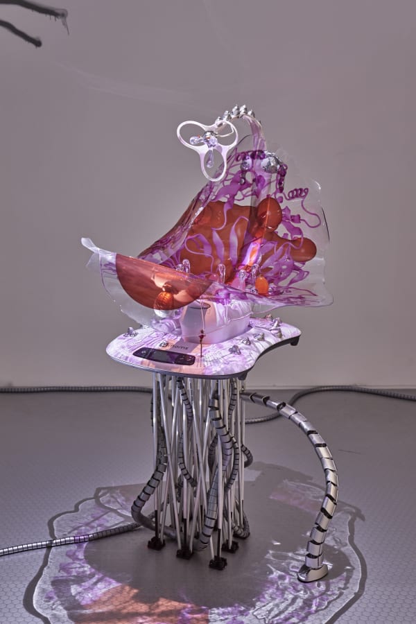 KATJA NOVITSKOVA exhibition view, shortlist exhibtion for the Preis der Nationalgalerie, Hamburger Bahnhof - Museum für Gegenwart, Berlin, 2019 - 2020