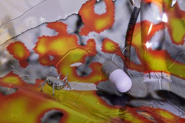 KATJA NOVITSKOVA exhibition view, shortlist exhibtion for the Preis der Nationalgalerie, Hamburger Bahnhof - Museum für Gegenwart, Berlin, 2019 - 2020