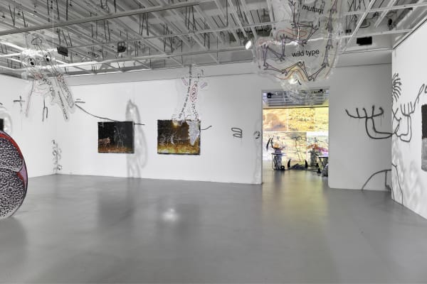 KATJA NOVITSKOVA exhibition view, shortlist exhibtion for the Preis der Nationalgalerie, Hamburger Bahnhof - Museum für Gegenwart, Berlin, 2019 - 2020
