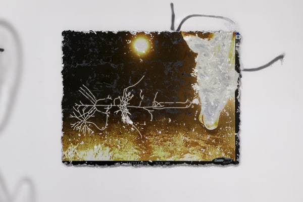 KATJA NOVITSKOVA exhibition view, shortlist exhibtion for the Preis der Nationalgalerie, Hamburger Bahnhof - Museum für Gegenwart, Berlin, 2019 - 2020