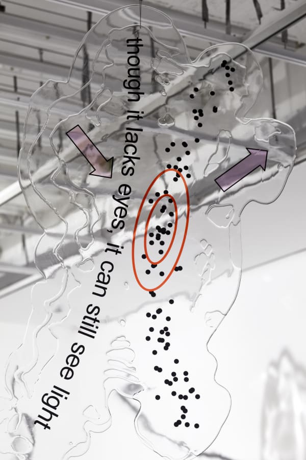KATJA NOVITSKOVA exhibition view, shortlist exhibtion for the Preis der Nationalgalerie, Hamburger Bahnhof - Museum für Gegenwart, Berlin, 2019 - 2020