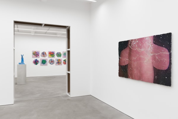 KATJA NOVITSKOVA exhibition view, Soft Approximation, Kraupa-Tuskany Zeidler, Berlin, 2022