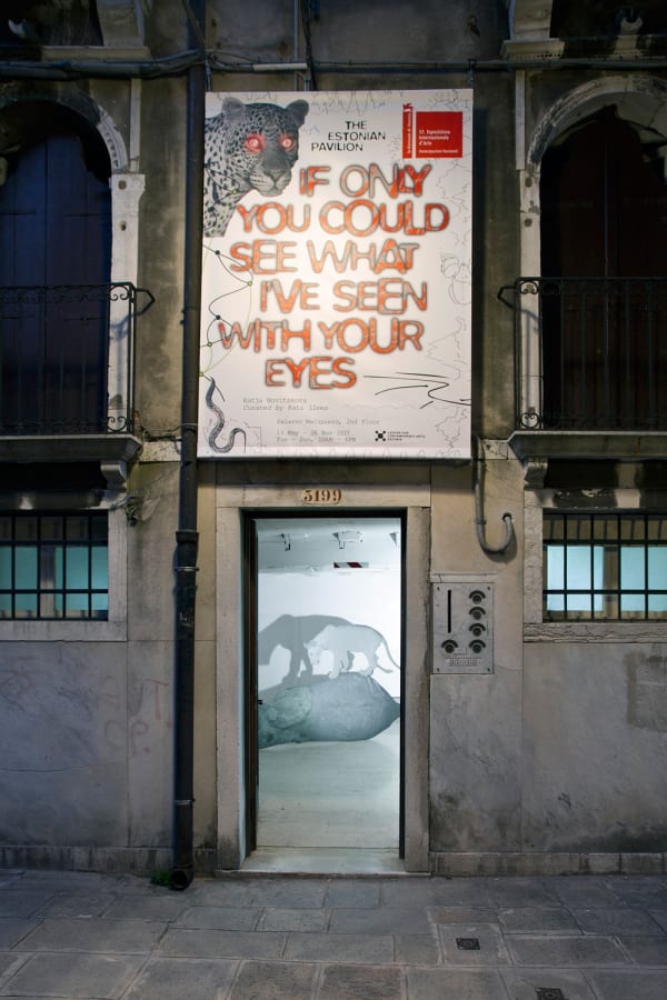 KATJA NOVITSKOVA exhibition view, If Only You Could See What I've Seen With Your Eyes, Estonian Pavillon, 57th Venice Biennale, 2017