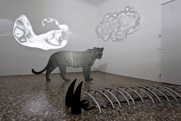 KATJA NOVITSKOVA exhibition view, If Only You Could See What I've Seen With Your Eyes, Estonian Pavillon, 57th Venice Biennale, 2017