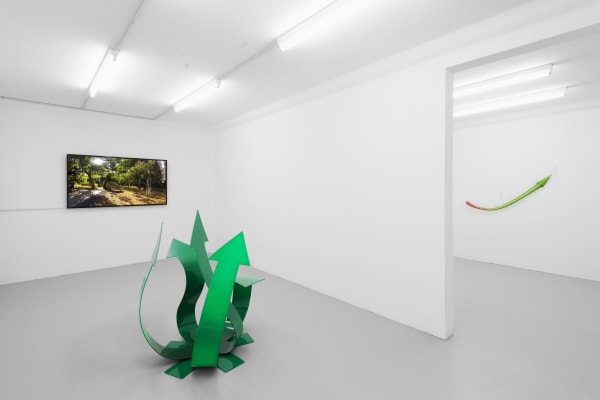 KATJA NOVITSKOVA exhibition view, Green Growth, Salts, Basel, 2014