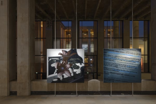 AVERY SINGER exhibition view, Days of the Weak, Days are Dogs, Palais de Tokyo, Paris, 2017