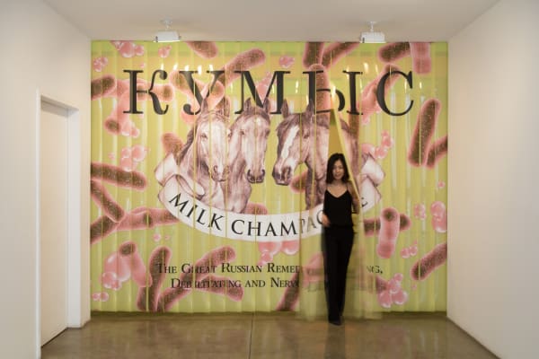 SLAVS AND TATARS exhibition view, Saalbadereien / Bathhouse Quackeries, Westfälischer Kunstverein, Münster, 2018