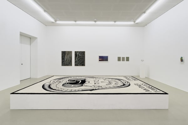 SLAVS AND TATARS exhibition view, Sauer Power, Kunstverein Hannover, 2018