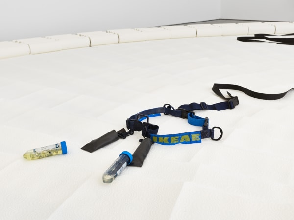 Transformella (aLifveForm fed and cared for by JP Raether) exhibition view, District 17, Kraupa-Tuskany Zeidler, Berlin, 2018 Cryotube containing hair, nail, spit of the ReproTechnoTribe 4.4.5, Kassel, 2015 and 4.4.6 Berlin, 2015