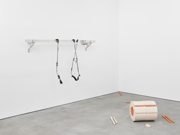 Transformella (aLifveForm fed and cared for by JP Raether), exhibition view,Cinis’ Forking [4.4.6.10.1], Kraupa-Tuskany Zeidler, Berlin 2021