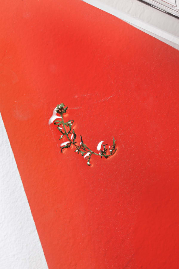 140505 Novitskova 007